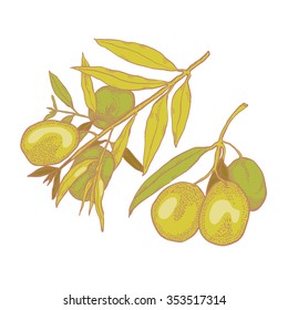 Image color olives