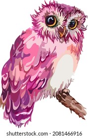 
Image of colored birds, owls.Vector