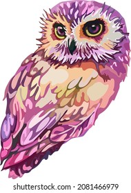 
Image of colored birds, owls.Vector