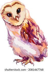 
Image of colored birds, owls.Vector
