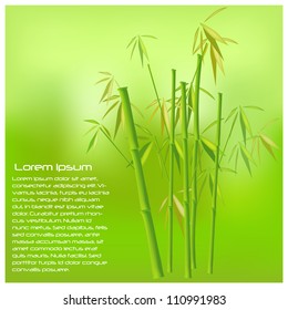 Image of a colorful bamboo vector background illustration.