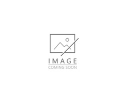 image coming soon. no photo, no thumbnail image available. missing picture icon. vector illustration