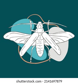 image contour beetle with wings. Vector illustration