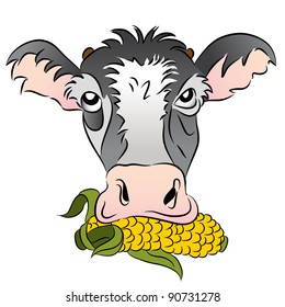 Imagen de una vaca alimentada con maíz.