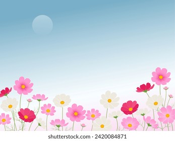 Image of cosmos and moon