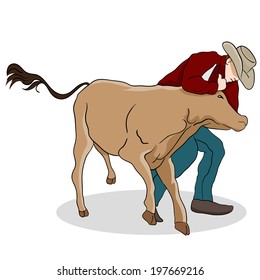 An image of a cowboy wrangling a calf.