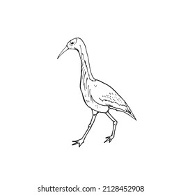Image of a crane in black and white
