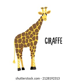 Image of a cute African giraffe on a white background