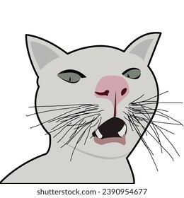 Image of a cute cat's face that is confused, 