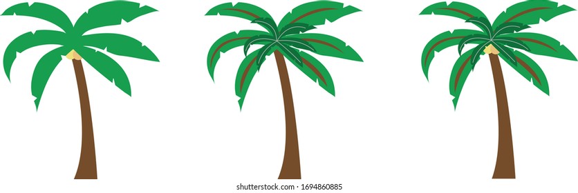 La imagen es una linda palmera.