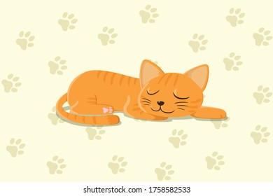 An image of cute sleeping cat wallpaper, the cat and wallpaper are on separate layers.