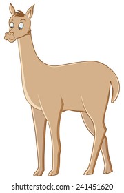 image of a cute vicunal on isolated background