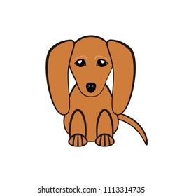 Image of a dachshund on a white background. Dog.