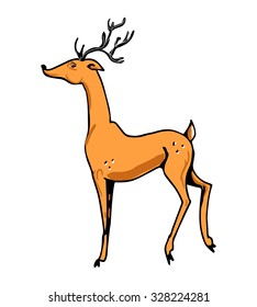 Image of deer on a white background