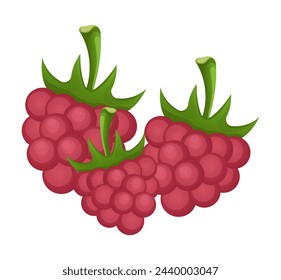 Image of delicious fruits. In this exciting illustration, the artist uses bright colors and creative design to depict raspberries in a whimsical cartoon style. Vector illustration.