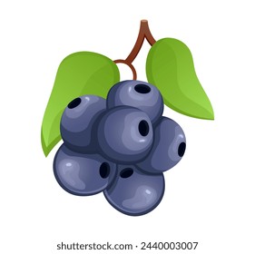 Image of delicious fruits. This illustration brings grapes to life that are sure to tantalize the taste buds against a crisp white background. Vector illustration.