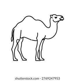 The image depicts a simple line drawing of a camel with a smaller camel, likely its offspring, standing close beside it. The illustration emphasizes the distinctive humps and long legs of camels, suitable for desert environments. The drawing is minimalistic and focuses on the basic anatomical features of the animals.