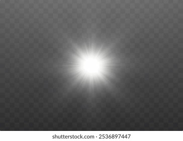 The image depicts sunlight, including sunbeams and a sunrise effect. The image also contains a beautiful glare. Sunlight Vector