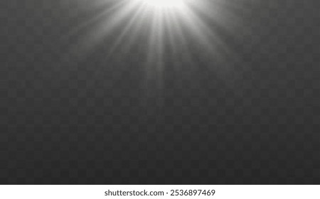 The image depicts sunlight, including sunbeams and a sunrise effect. The image also contains a beautiful glare. Sunlight Vector