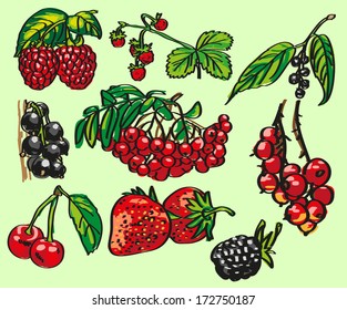 Image of different varieties of ripe berries
