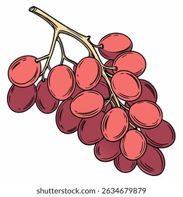 
A imagem mostra um cluster de uvas. As uvas são representadas em tons de vermelho e rosa, sugerindo que podem ser uvas vermelhas.