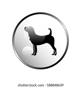 Image of an dog.
