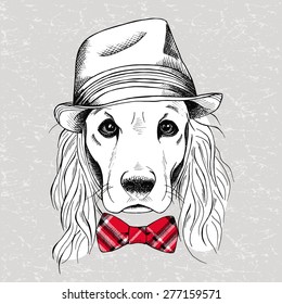 The image of the dog Cocker Spaniel with a bow and in a hat. Vector illustration.