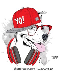 The image of the dog in the glasses, headphones and in hip-hop hat. Vector illustration.