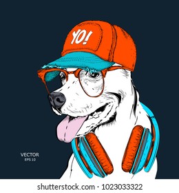The image of the dog in the glasses, headphones and in hip-hop hat. Vector illustration.