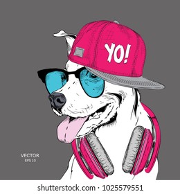 The image of the dog in the glasses, headphones and in hip-hop hat. Vector illustration.