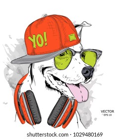 The image of the dog in the glasses, headphones and in hip-hop hat. Vector illustration.