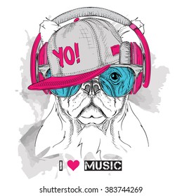 The image of the dog in the glasses, headphones and in hip-hop hat. Vector illustration.