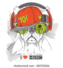 The image of the dog in the glasses, headphones and in hip-hop hat. Vector illustration.