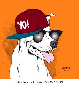 The image of the dog in the glasses and in hip-hop hat. Vector illustration.