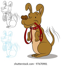 An image of a dog ready for a walk with a leash.