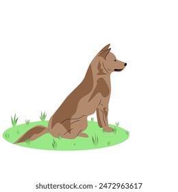 image of dog sitting waiting, cute dog with green grass