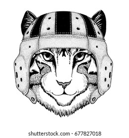 Image of domestic cat Wild animal wearing rugby helmet Sport illustration