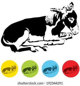 An image of a donkey.