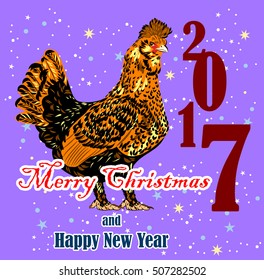 Image of elegant, beautiful, chicken with beautiful feathers and wish Merry Christmas