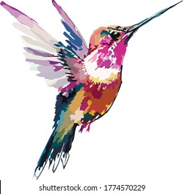 Image of an exotic birdie in color. vector