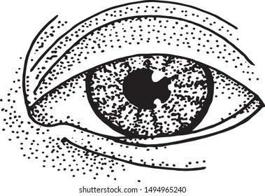 The image of the eye made in the technique of hatching. Vintage.
