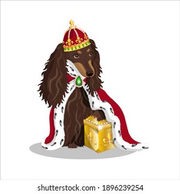 Image of a fabulous long-haired dachshund in a crown and mantle with a treasure chest in vector. Isolated character svg