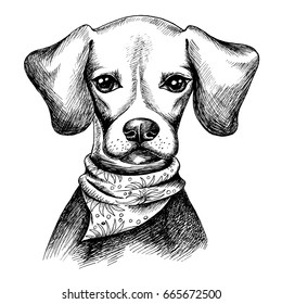 Image of a face beagle. Vector black and white illustration. 