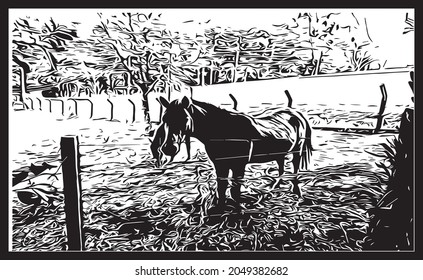 Image of a farm with horses, on black and white background, scribble painting style.  Vector