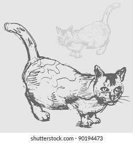 An image of a fat cat drawing.