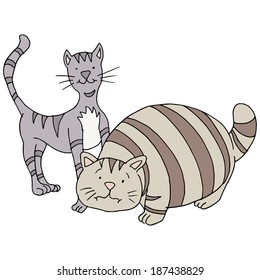 Imagen de un gato gordo y delgado.