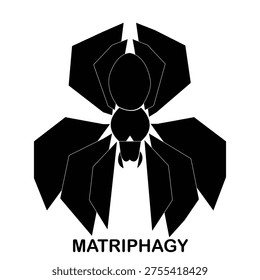The image features a bold, high-contrast  and  stylized spider logo. The spider is depicted from a top-down perspective in a striking, minimalist, and somewhat aggressive geometric style. Its body is composed of sharp, angular, polygonal shapes rather than smooth curves.
The cephalothorax (head region) is black with two prominent , pointed eye-like markings and white chelicerae (fangs) forming a menacing facial expression. The abdomen is large, octagonal, and segmented, giving it a faceted, armored appearance. Eight thick, black legs extend outward in a symmetrical stance; they are wide, angular, and blade-like, with sharp edges and distinct white outline details that emphasize their segmented structure.
The entire design uses solid black fill with crisp white negative space and thin white lines to define segments and details. The spider appears powerful, symmetrical, and almost mechanical or tribal in aesthetic.
Directly beneath the spider, the word 