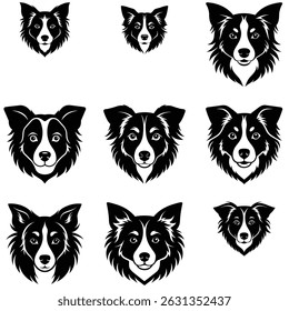 The image features a collection of nine unique black and white headshots of Border Collie breeds, each displaying a different fur length and expressive face on white.