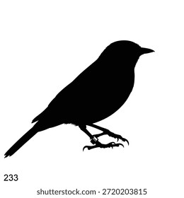 La Imagen presenta la silueta de un pájaro de pie en una pierna. El pájaro está representado en negro sobre un fondo blanco, enfatizando su forma y forma. El pájaro parece posarse con calma, con la cabeza ligeramente inclinada hacia arriba, posiblemente observando sus alrededores.