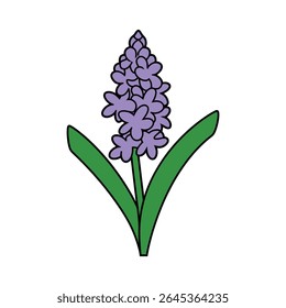 A imagem apresenta uma ilustração vibrante de uma flor de jacinto roxo com um contorno preto em negrito. Um caule verde e uma folha complementam a flor floral contra um fundo branco.